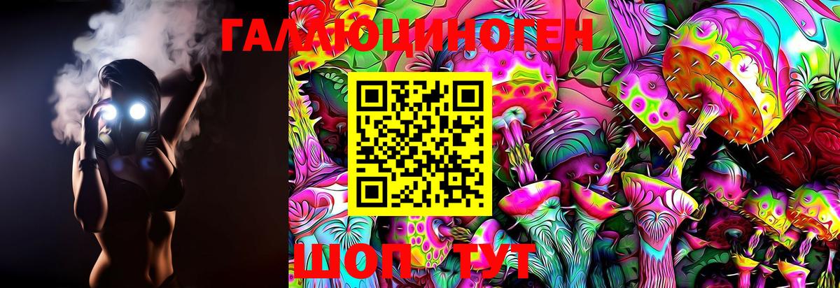 Моздок  Галлюциногенные грибы Psilocybe  Вход с VPN 